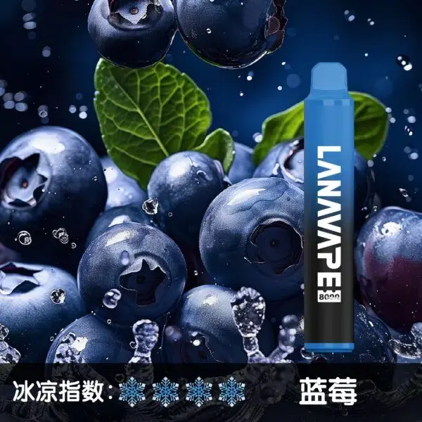 LANA8000口藍莓-600x600.jpg.webp - BA Vaper | BA-TOP 台灣官方旗艦店 | 電子煙主機·煙彈·一次性霧化器